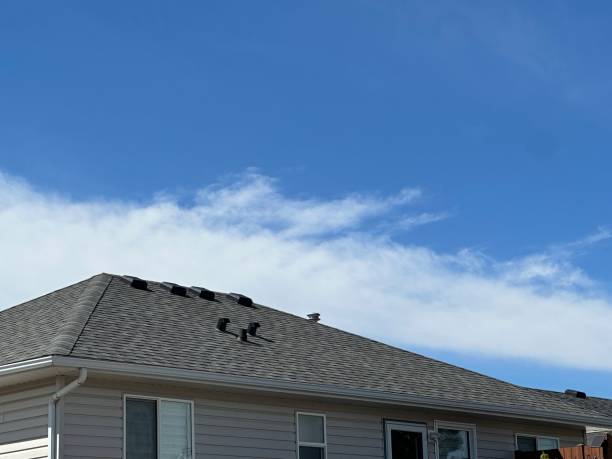 Best Commercial Roofing Services  in Las Vegas, NV